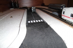 11782299_855372424550980_3312120424996733737_o