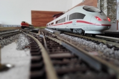 13667880_1060179594070261_4696357822912291120_o