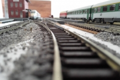 13920455_1060179684070252_3010774088115270793_o