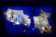 DSC04737